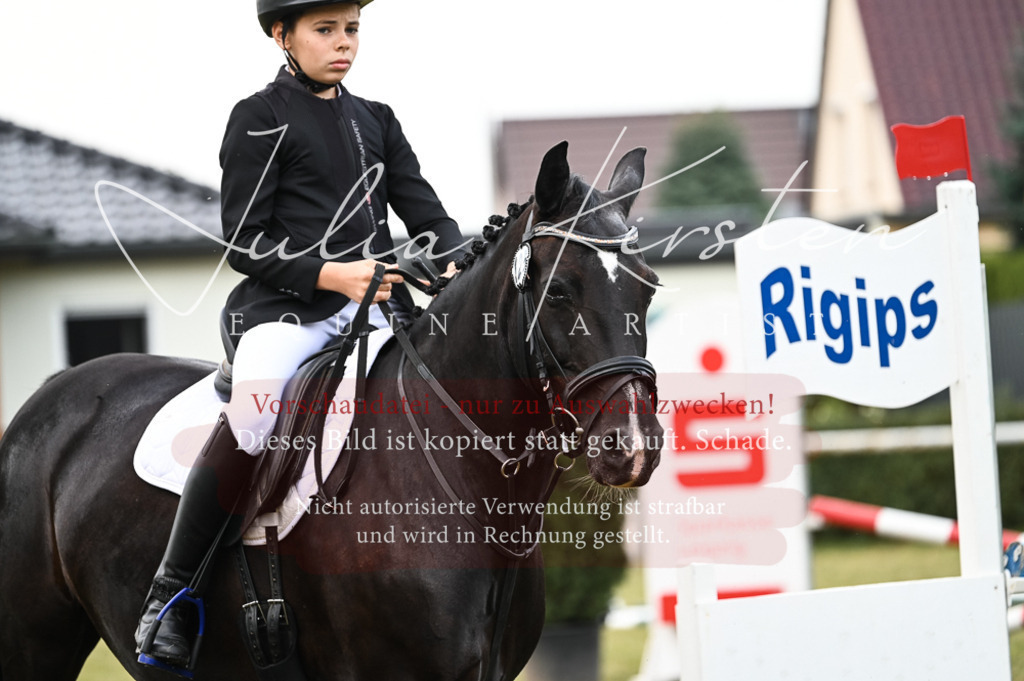 DSC_5723 | Pferde- und Turnierfotografie in Westsachsen. Pferdeportraits, Auftragszeichnungen und intuitive Kunst.