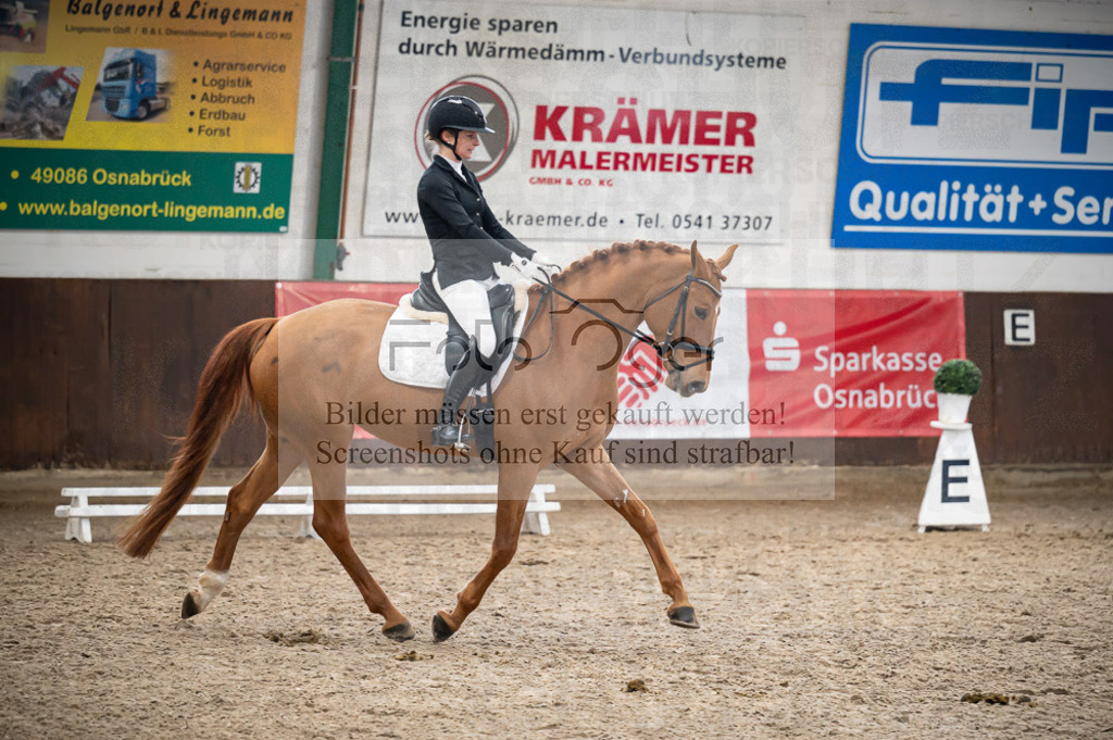 Hallenreittunier Voxtrup 2023 | Entdecke hochwertige Reitturnierfotos von Foto Oger. Professionell, emotional und authentisch – jetzt Lieblingsmomente im Shop bestellen. - Realisiert mit Pictrs.com