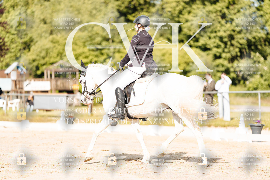 CK900089 | Turnierfotografie Pferdefotografie Trier Rheinland-Pfalz Pferdesport Reitsport Tierfotografie Sportfotografie Pferdevideo Pferdevideografie Equestrianvideography equestrianphotography  - Realisiert mit Pictrs.com