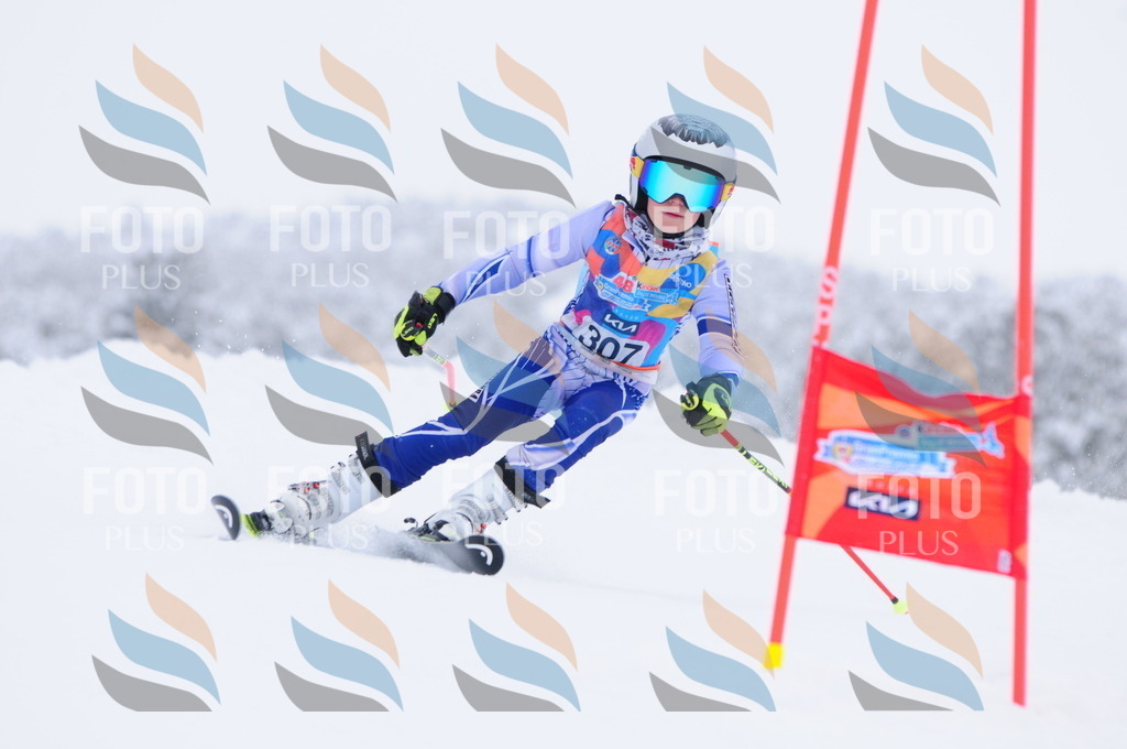 C3245 | holidayphoto