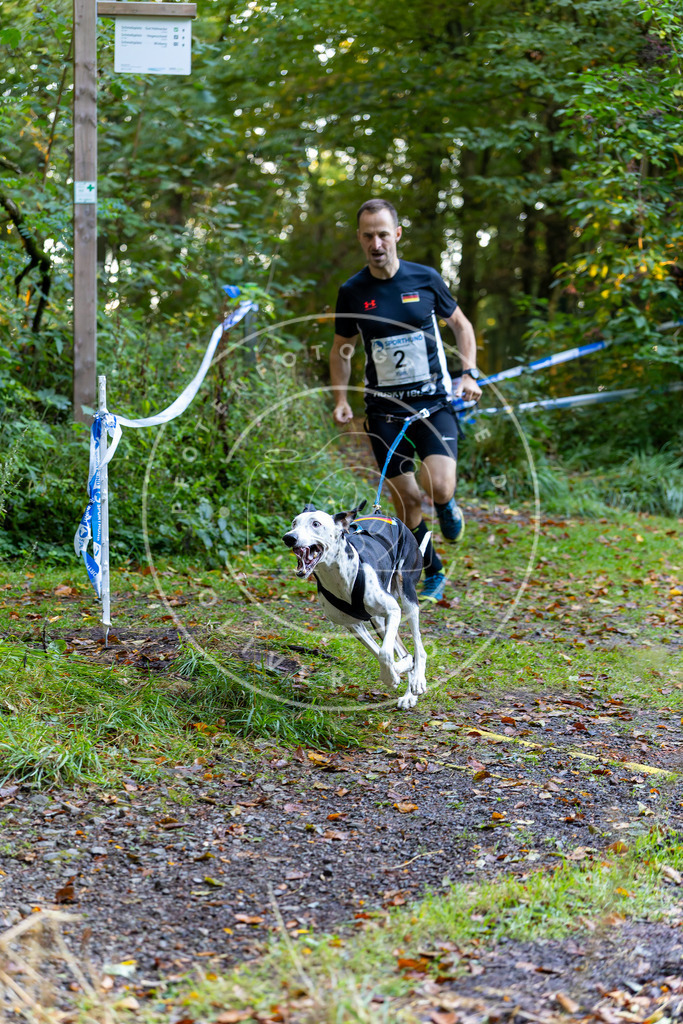 Pfotenfotografie_DV3A6169 | Hundefotografie, Tierfotograf, Pfotenfotografie, Fotoshooting Hund, Hunde Portrait, Hundesport, Hundeportraits, Heideshooting, Hunde, Sportfotograf, Hundefotograf, Turnierhundsport, THS,  - Realisiert mit Pictrs.com