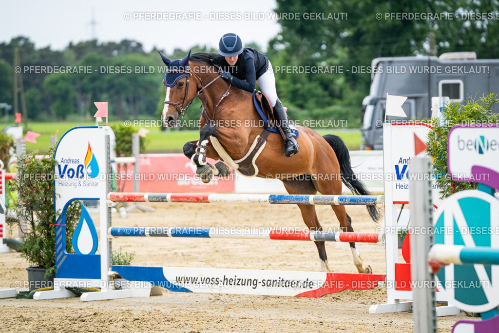 DSC06183 | Pferdegrafie