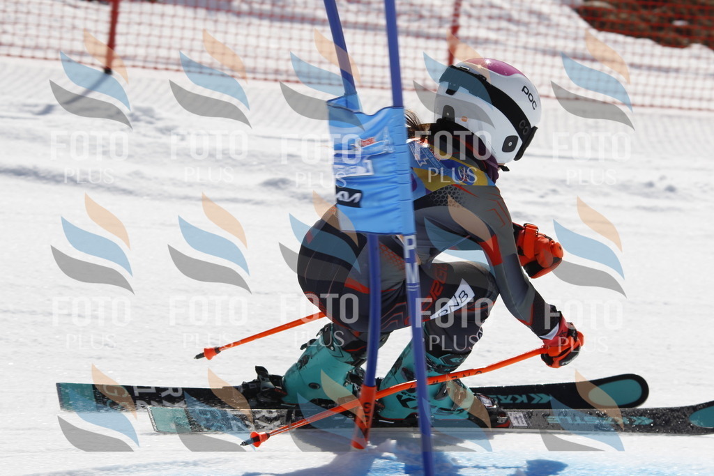 _U3G9554 | holidayphoto