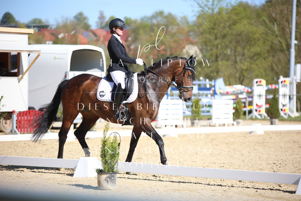 IMGT8746 | pl-fotografie