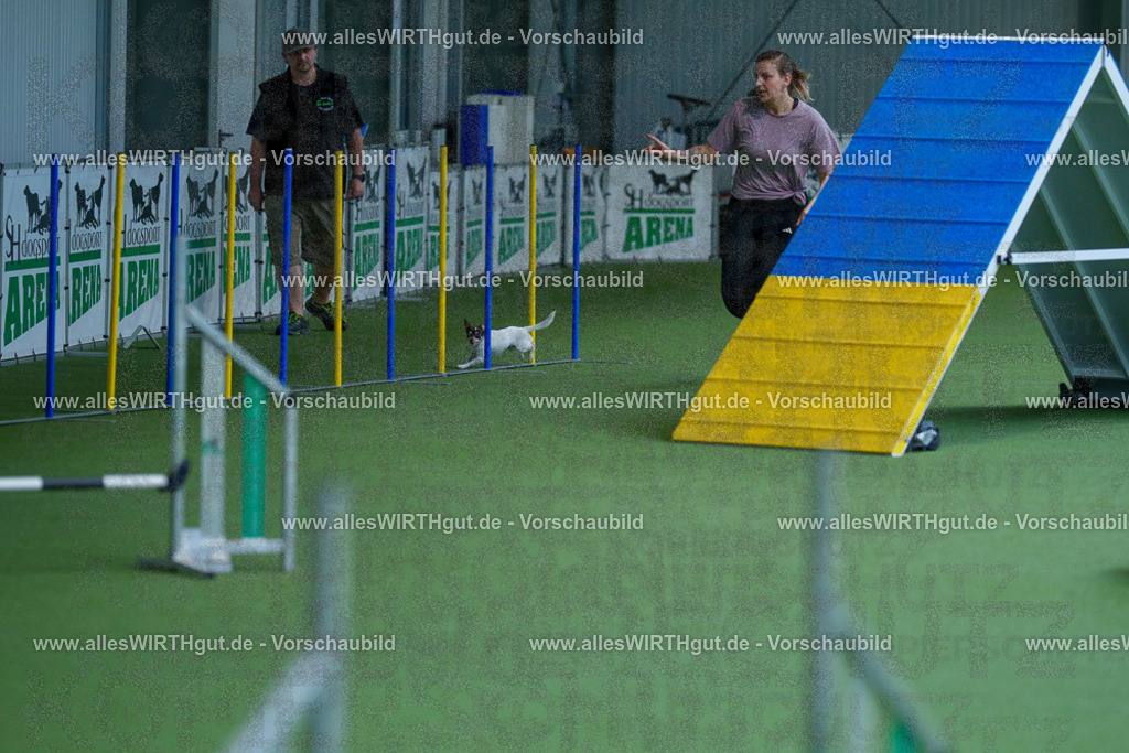 @allesWIRTHgut_Tierfotografie - www.allesWIRTHgut.de - 2604261446-7R503661 | Professionelle Tierfotografie in Mönchengladbach von Daniel Wirth (allesWIRTHgut). Liebevolle & natürliche Bilder von Hunden & Katzen für unvergessliche Erinnerungen.