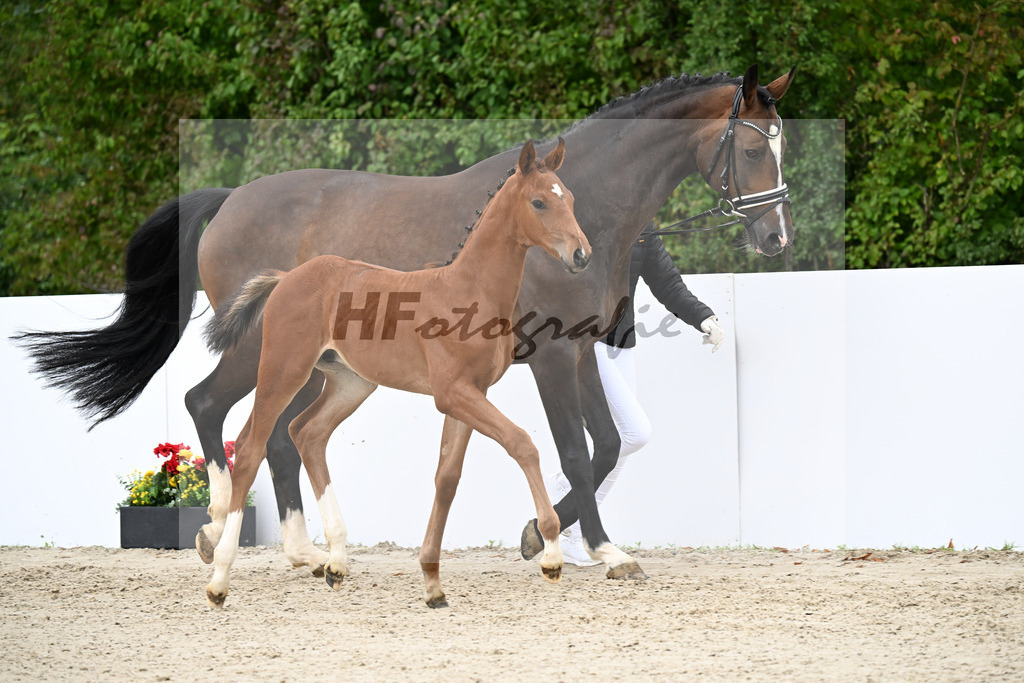 Vitalos x Escolar_HF_Maurer_23250515 | hf-fotografie - Realizzato con Pictrs.com