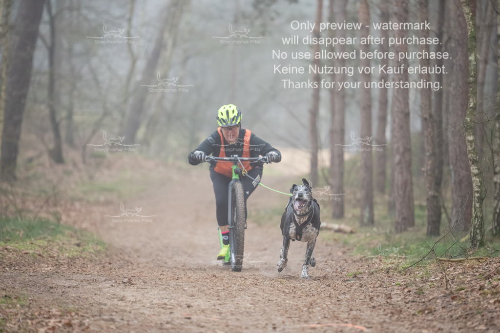 Scooter1-143 | stephaniefillaphotographie - Realisiert mit Pictrs.com