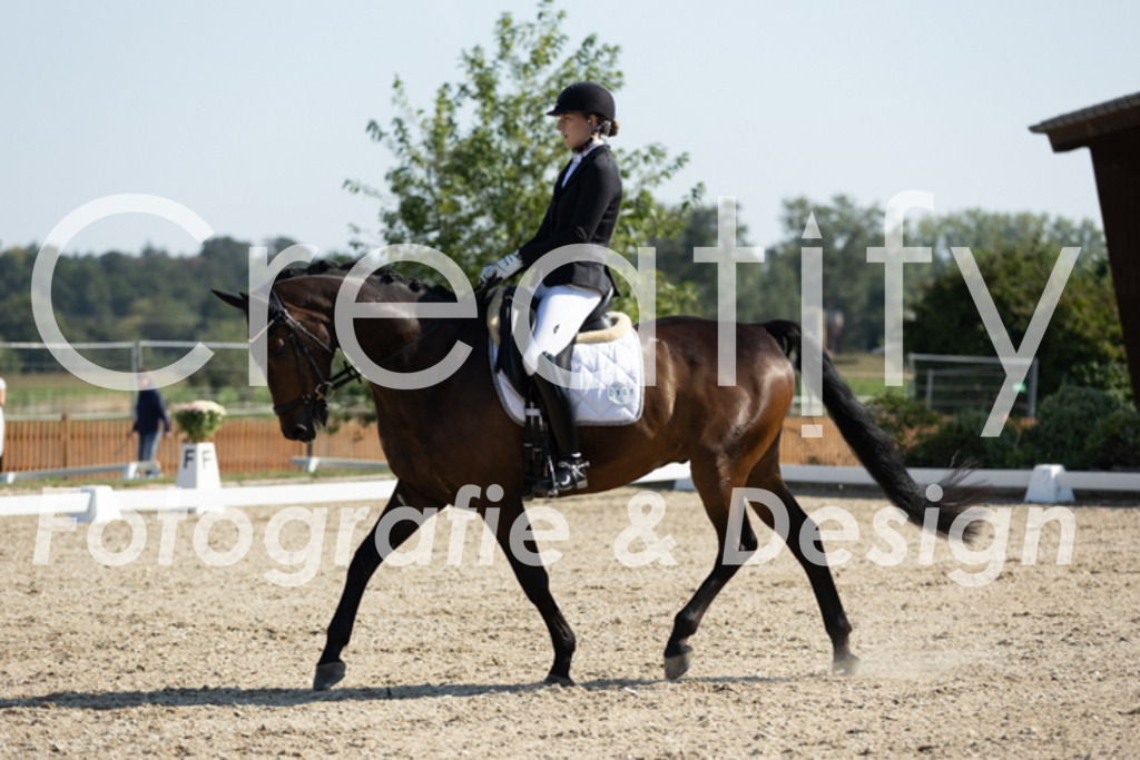 IMG_5714 | Creatify Fotografie