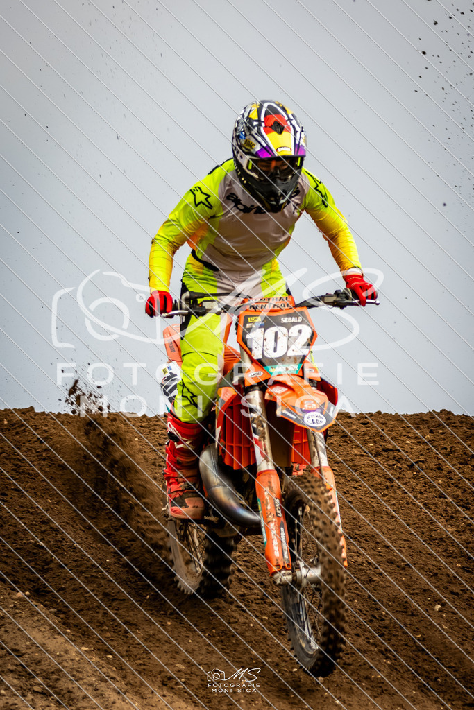 20260321-162A1156 | moni.sica.fotografie - Realisiert mit Pictrs.com