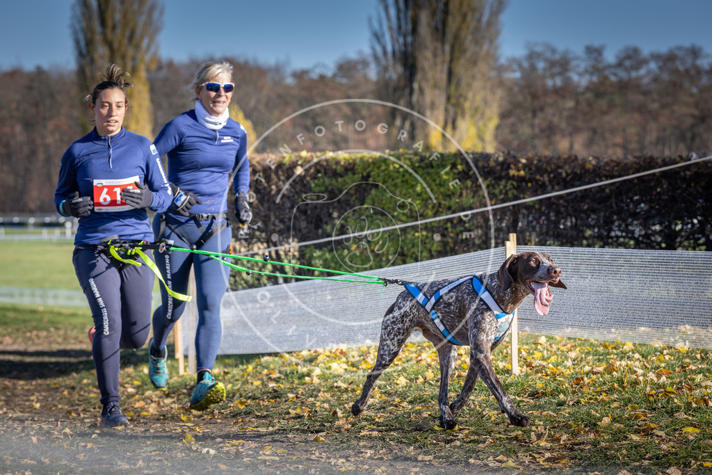 CaniXpix_DV3A9754 | Hundefotografie, Tierfotograf, Pfotenfotografie, Fotoshooting Hund, Hunde Portrait, Hundesport, Hundeportraits, Heideshooting, Hunde, Sportfotograf, Hundefotograf, Turnierhundsport, THS,  - Realisiert mit Pictrs.com