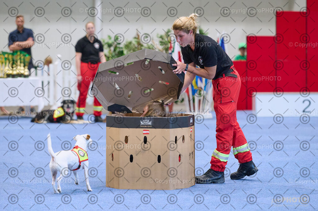 202406_ÖKV-IHA-Tulln24_DSC_3490 | proPHOTO - Realisiert mit Pictrs.com