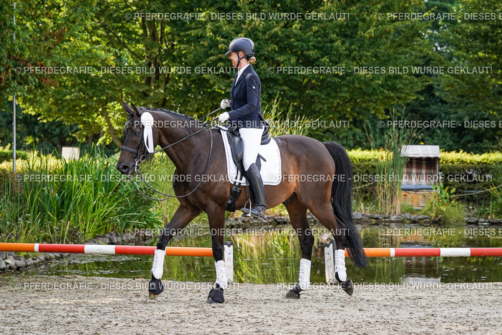 DSC07764 | Pferdegrafie