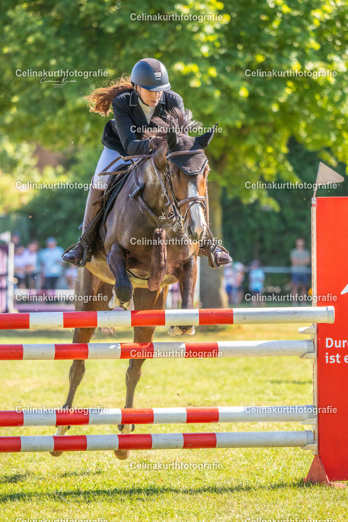 IMG_1790 | Celinakurthfotografie - Realisiert mit Pictrs.com