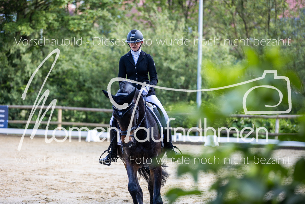 Donop24-A-Dre-072 | MomenTaufnahmen Pferdesportfotos