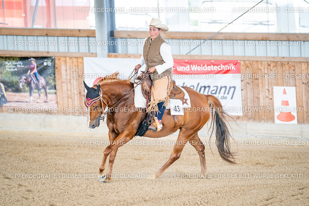 DSC01677 | Pferdegrafie