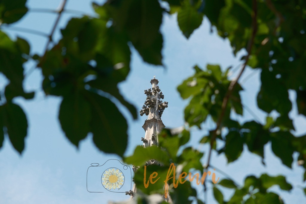 Wer erkennts? | Dies ist der Shop von Florian Blum - le fleuri. Langenthal, Bern, Schweiz. Sie können hier meine oder ihre eigenen Fotos als Fotoprodukte kaufen. Tassen, Schlüsselanhänger, Taschen etc. können Sie hier gestalten.  - Realisiert mit Pictrs.com