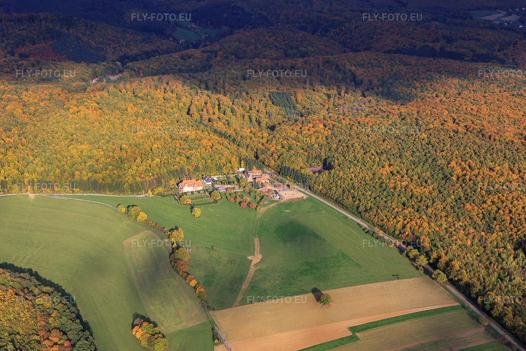 Vue aérienne: Ferme Mellon et Villa Le Riesack à Niederbronn-les-Bains dans le département Bas Rhin, France – .Photo: IMG_084705.jpg prise le 23/10/2015 par Werner Riehm/FLY-FOTO.eu – Résolution de l'original: 5472 x 3648 px – Ferme Mellon - Restaurant et chambres d'hôtes – Gite de groupe en Alsace. Fetes de famille. Villa le Riesack. Capacit\xc3\xa9: 30 \xc3\xa0 50 Personnes