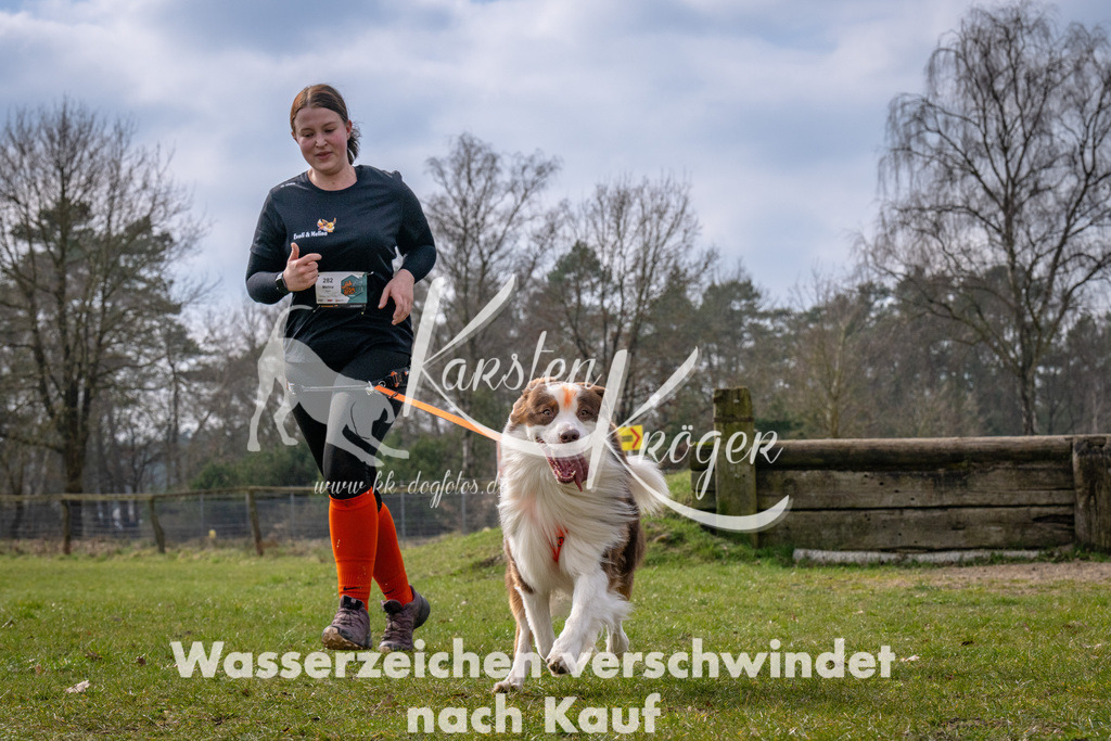 _ZZ93428 | kk-dogfotos