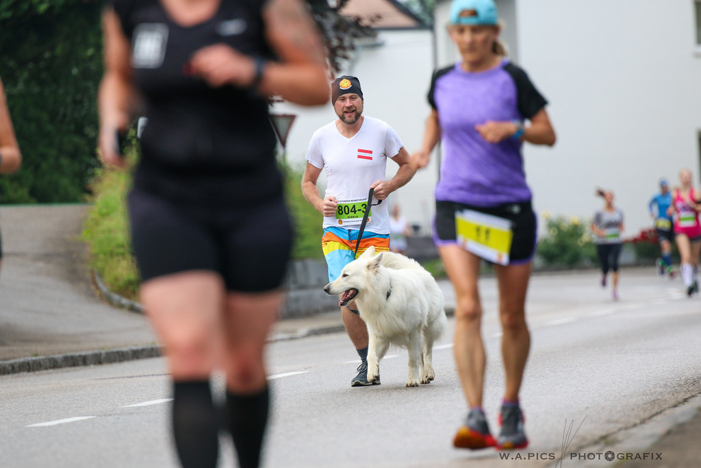 AW_20230617awmac8207 | Prambachkirchen, AUSTRIA, 17.06.2023 - 12h Benefizlauf Prambachkirchen, Image shows: Photo: WAPICS / Andreas Willdoner