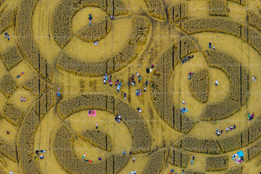 9100241 | Kornkreis bei Raisting