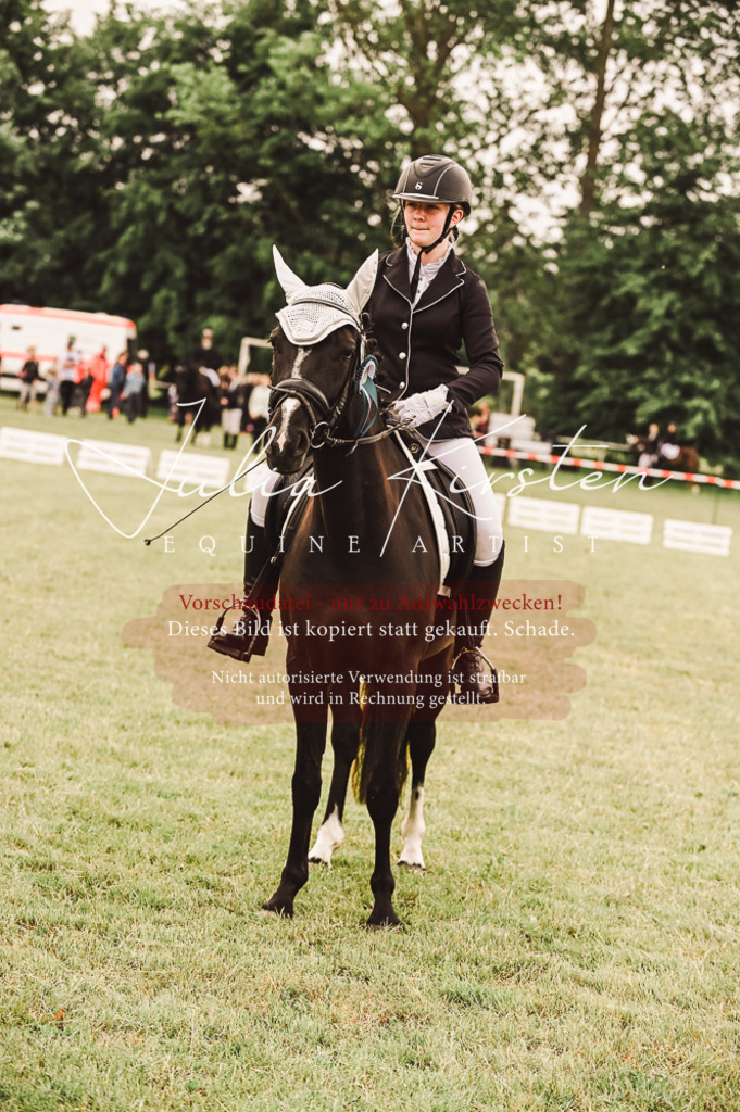 DSC_5166 | Pferde- und Turnierfotografie in Westsachsen. Pferdeportraits, Auftragszeichnungen und intuitive Kunst.