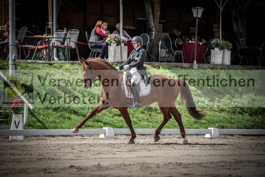 DSC_2590 | equestrian-live-com