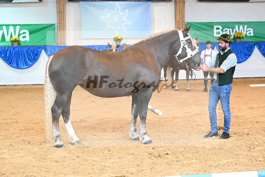 Kat-Nr. 53 Zusi_Echtler_53220168 | hf-fotografie - Realisiert mit Pictrs.com