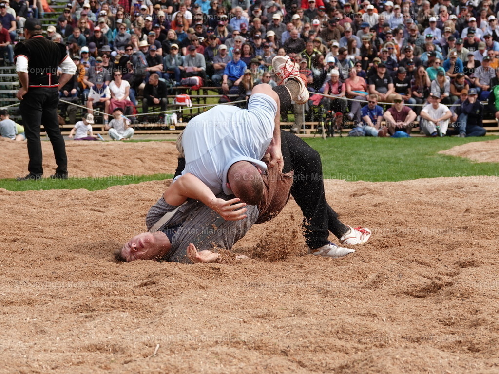 DSC07252 | Schwingen - Realisiert mit Pictrs.com