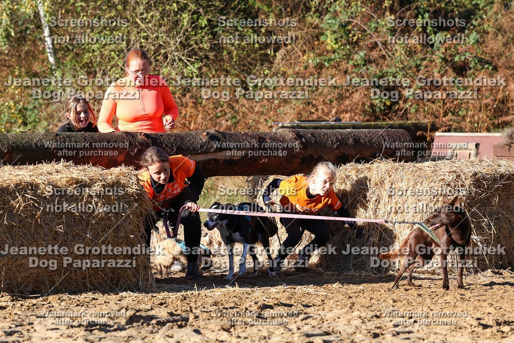 Dog Paparazzi - Strongdog 10-25-1406 | Dog Paparazzi Jeanette Grottendiek Fotografie & Videografie - Realisiert mit Pictrs.com