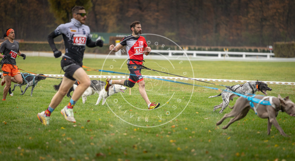 CaniXpix_DV3A9505 | Hundefotografie, Tierfotograf, Pfotenfotografie, Fotoshooting Hund, Hunde Portrait, Hundesport, Hundeportraits, Heideshooting, Hunde, Sportfotograf, Hundefotograf, Turnierhundsport, THS,  - Realisiert mit Pictrs.com