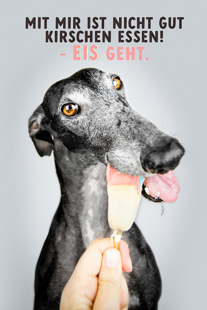 Eis Eis Nico | "Mit mir ist nicht gut Kirschen essen! - Eis geht!"Und wie das geht.... 