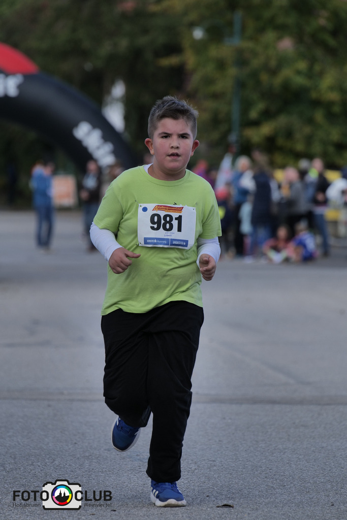 P1039371 | Foto Buchgraber