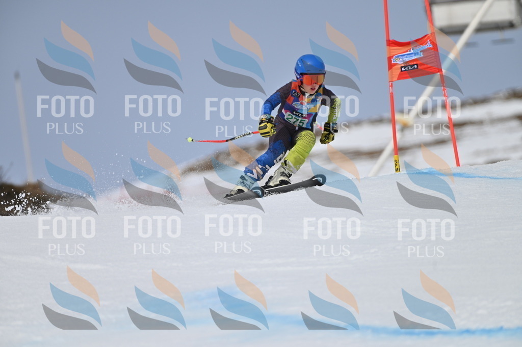 BGV_5447 | holidayphoto