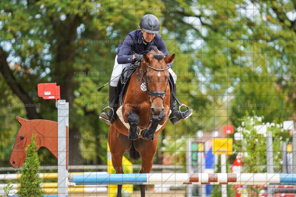 20221009-FAH08643 | Diessen am Ammersee, 2022, Dressur- und Springturnier, Reitsportbilder, Turnierfotografen Bayern, Pferdefotografen, Fotoagentur Herrmann, Turnierbilder