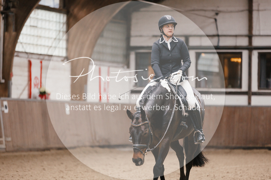 3I6A6642 | Stimmungsvolle Portraits und Reitsportfotografie im Ruhrgebiet und im Münsterland.

Pferdefotografie, Hundefotografie, Tierfotografie, Reportagen, Portraits von Tier und Mensch, Turnierfotografie in Bochum, Recklinghausen, Marl, Haltern am See, Dülmen.. - Realisiert mit Pictrs.com