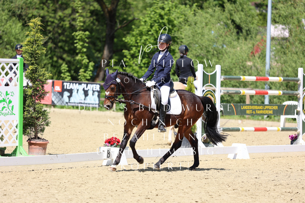 IMGS2663 | pl-fotografie