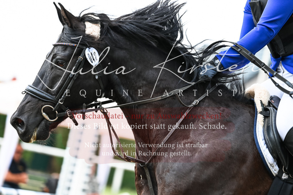 DSC_8978 | Pferde- und Turnierfotografie in Westsachsen. Pferdeportraits, Auftragszeichnungen und intuitive Kunst.