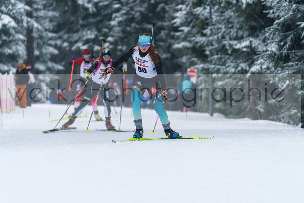 DP Oberwiesenthal | Alpencup/DP Deutschlandpokal in Oberwiesenthal am 15.-17.12.2023