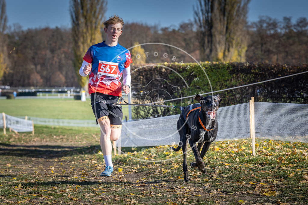 CaniXpix_DV3A8807 | Hundefotografie, Tierfotograf, Pfotenfotografie, Fotoshooting Hund, Hunde Portrait, Hundesport, Hundeportraits, Heideshooting, Hunde, Sportfotograf, Hundefotograf, Turnierhundsport, THS,  - Realisiert mit Pictrs.com