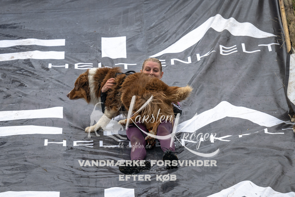 1336_ZZ92490 | kk-dogfotos
