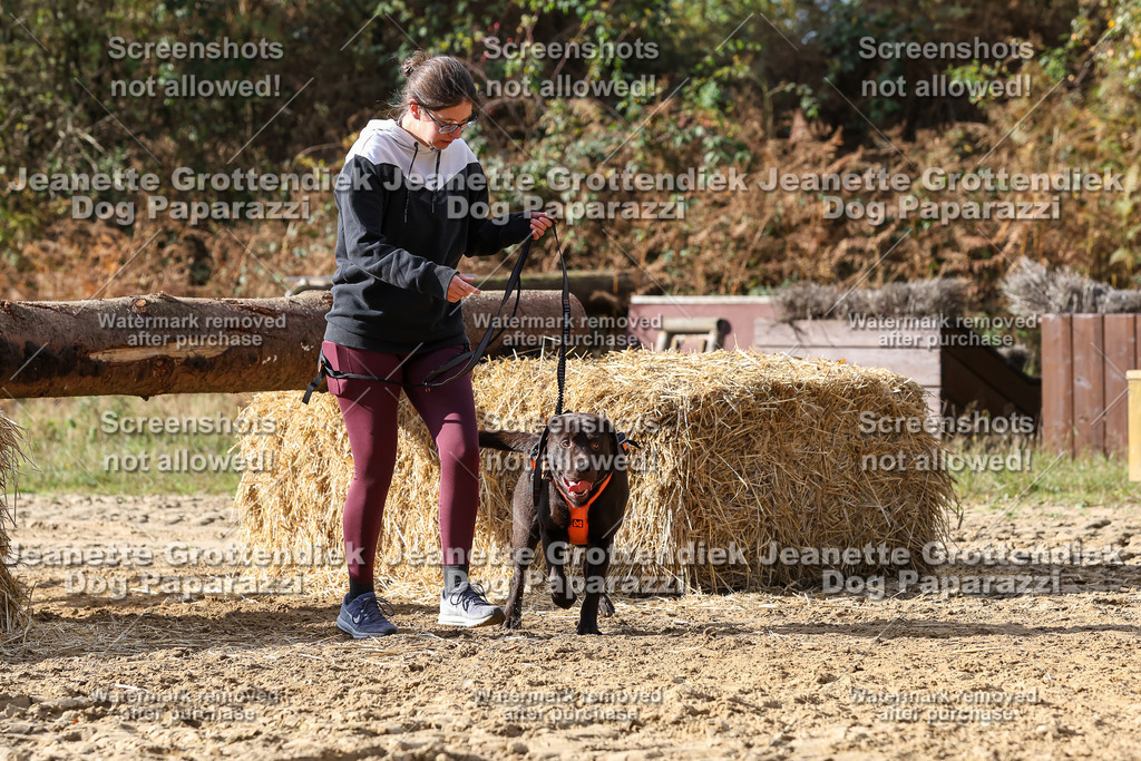 Dog Paparazzi - Strongdog 10-25-5052 | Dog Paparazzi Jeanette Grottendiek Fotografie & Videografie - Realisiert mit Pictrs.com