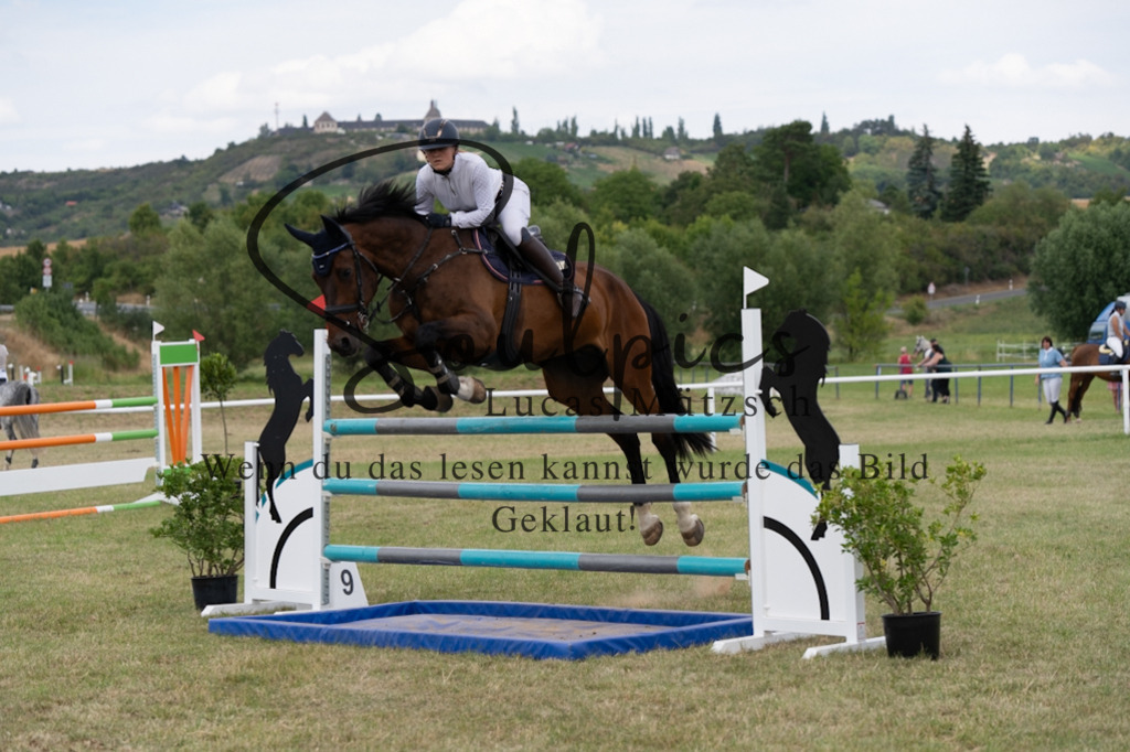 A7V02458 | Pferdefotograf