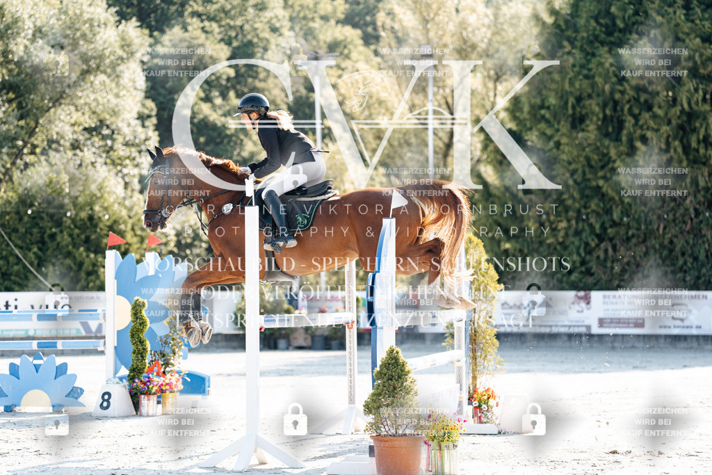CK901556 | Turnierfotografie Pferdefotografie Trier Rheinland-Pfalz Pferdesport Reitsport Tierfotografie Sportfotografie Pferdevideo Pferdevideografie Equestrianvideography equestrianphotography  - Realisiert mit Pictrs.com