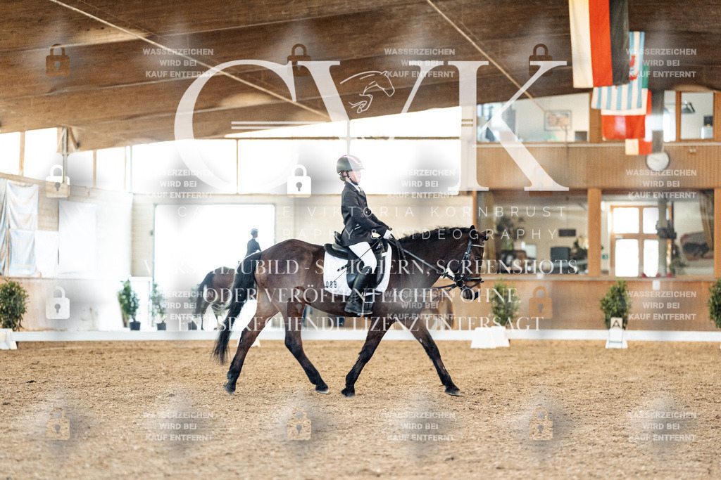 CK907176 | Turnierfotografie Pferdefotografie Trier Rheinland-Pfalz Pferdesport Reitsport Tierfotografie Sportfotografie Pferdevideo Pferdevideografie Equestrianvideography equestrianphotography  - Realisiert mit Pictrs.com