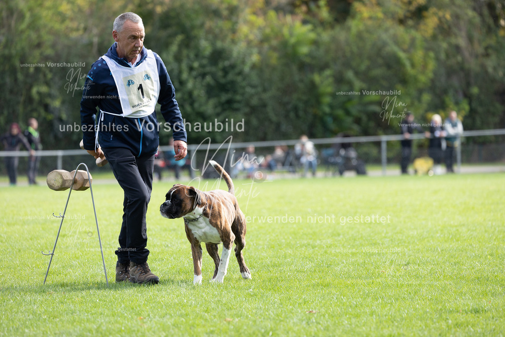 _16A5307 | Einzigartige Fotos von Hunden & Menschen –Actionfotos, Portraits, Vereinsaufnahmen & Paarshootings – authentisch, lebendig & mit Herz.