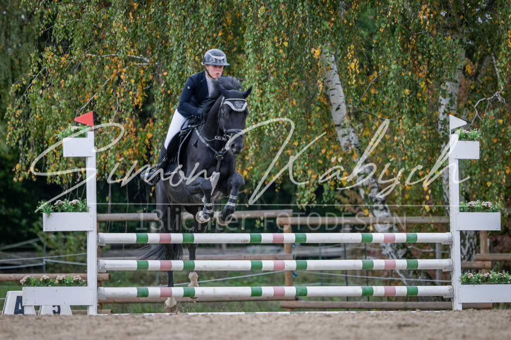 20251012-_3LI3863 | Tierfotografie Pferde, Hunde, Katzen, Haustiere.
Turnierfotografie Reitturniere, Reiten, Springreiten, Dressur in Hanau, dem Main-Kinzig-Kreis und dem Rhein-Main- Gebiet um Frankfurt