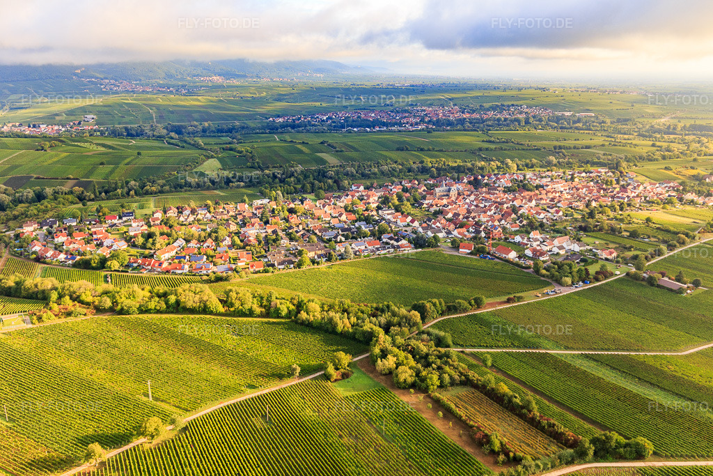 Luftbild: Ortsansicht von Süden im Ortsteil Arzheim in Landau im Bundesland Rheinland-Pfalz in Deutschland. Foto: IMG_103322.jpg vom 10.09.2017 durch Werner Riehm/FLY-FOTO.de