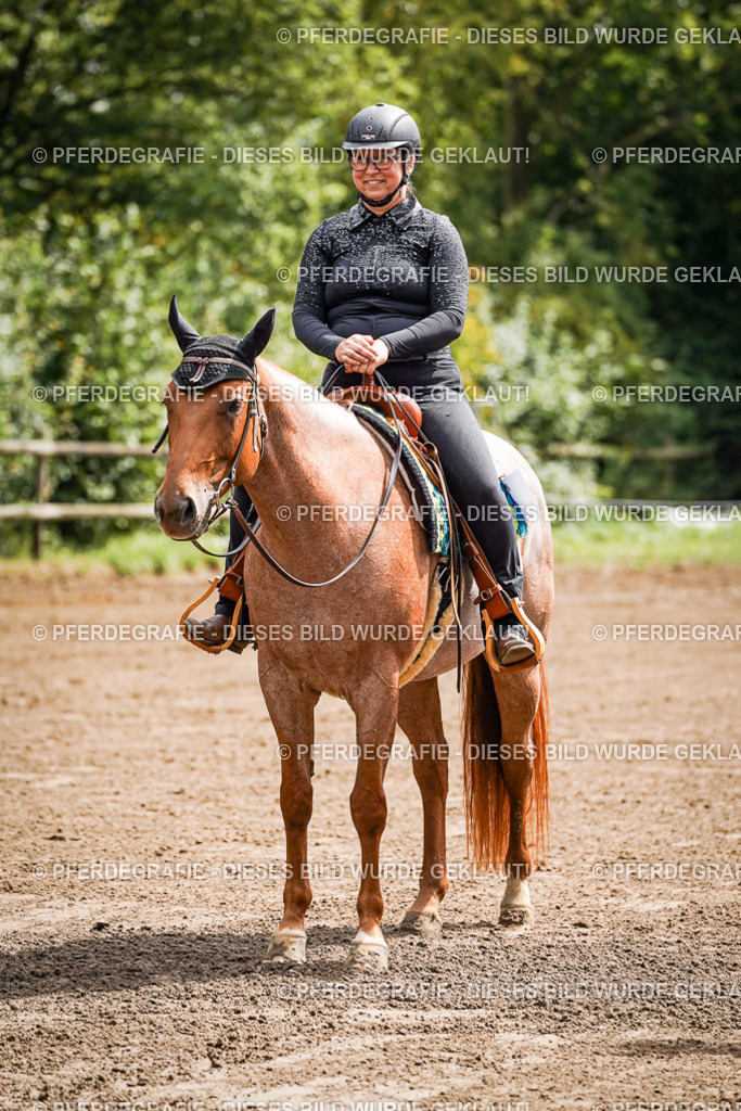 DSC05772 | Pferdegrafie