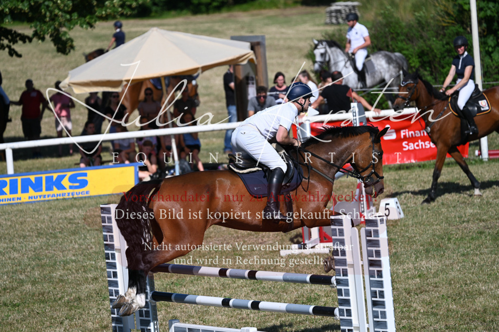 DSC_2178 | Pferde- und Turnierfotografie in Westsachsen. Pferdeportraits, Auftragszeichnungen und intuitive Kunst.