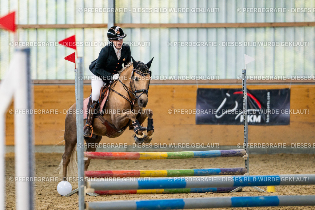 DSC01257 | Pferdegrafie